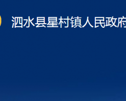 泗水县星村镇人民政府政务服务网入口