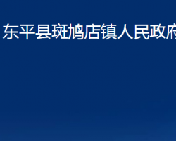 东平县斑鸠店镇人民政府