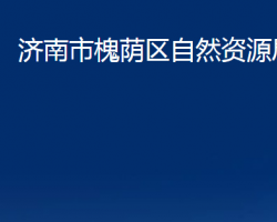 济南市槐荫区自然资源局