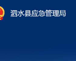 泗水县应急管理局