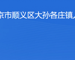 北京市顺义区大孙各庄镇人民政府