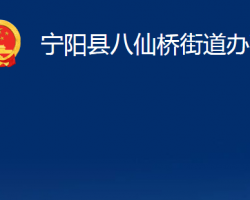 宁阳县八仙桥街道办事处