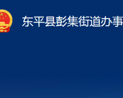 东平县彭集街道办事处政务服务网