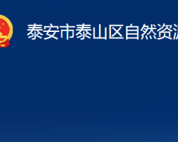 泰安市泰山区自然资源局