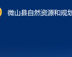 微山县自然资源和规划局