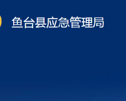 鱼台县应急管理局