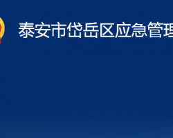 泰安市岱岳区应急管理局