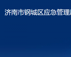 济南市钢城区应急管理局