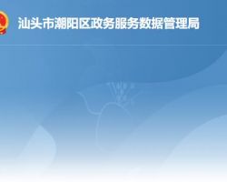 汕头市潮阳区政务服务数据