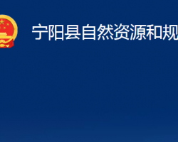 宁阳县自然资源和规划局"