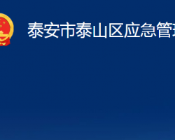 泰安市泰山区应急管理局