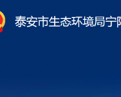 泰安市生态环境局宁阳分局