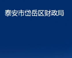 泰安市岱岳区财政局