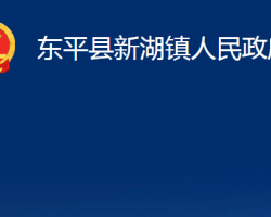 东平县新湖镇人民政府政务服务网