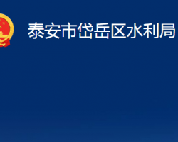 泰安市岱岳区水利局