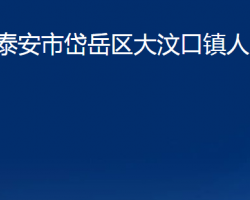 泰安市岱岳区大汶口镇人民政府