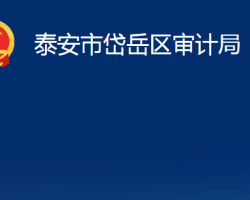 泰安市岱岳区审计局