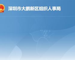 深圳市大鹏新区组织人事局