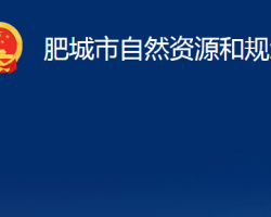 肥城市自然资源和规划局"