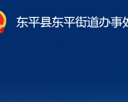 东平县东平街道办事处政务服务网