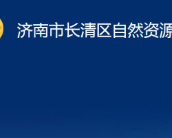 济南市长清区自然资源局