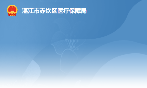 湛江市赤坎区医疗保障局