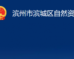 滨州市滨城区自然资源局