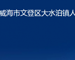 威海市文登区大水泊镇人民政府