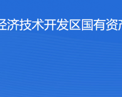 湛江经济技术开发区国有资产经营公司