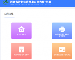 承德市计划生育网上办事大厅入口