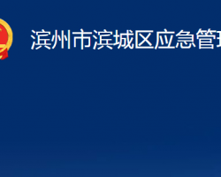 滨州市滨城区应急管理局