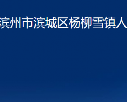 滨州市滨城区杨柳雪镇人民政府