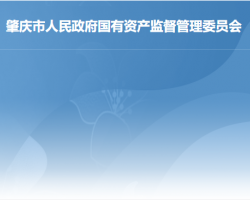 肇庆市人民政府国有资产监督管理委员会