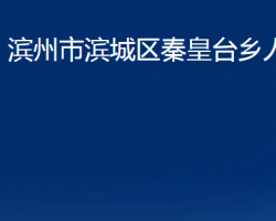 滨州市滨城区秦皇台乡人民政府