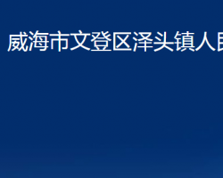 威海市文登区泽头镇人民政府