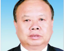 王雪峰(河北省人大常委会原党组成员、副主任)