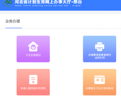 邢台市计划生育网上办事大厅入口