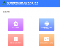 衡水市计划生育网上办事大厅入口