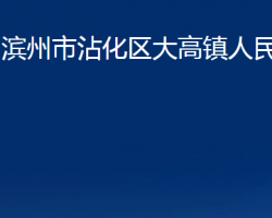 滨州市沾化区大高镇人民政府