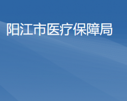 阳江市医疗保障局