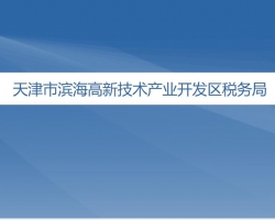 天津市滨海高新技术产业开发区税务局"