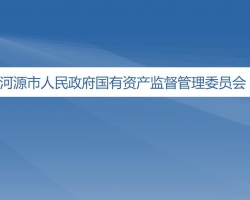 河源市人民政府国有资产监