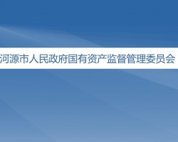 河源市人民政府国有资产监