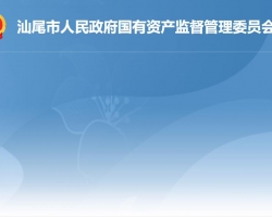 汕尾市人民政府国有资产监督管理委员会