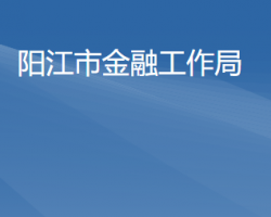 阳江市金融工作局