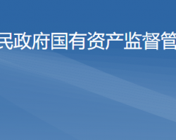 阳江市国有资产监督管理委