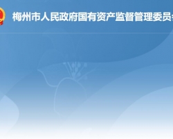 梅州市人民政府国有资产监督管理委员会