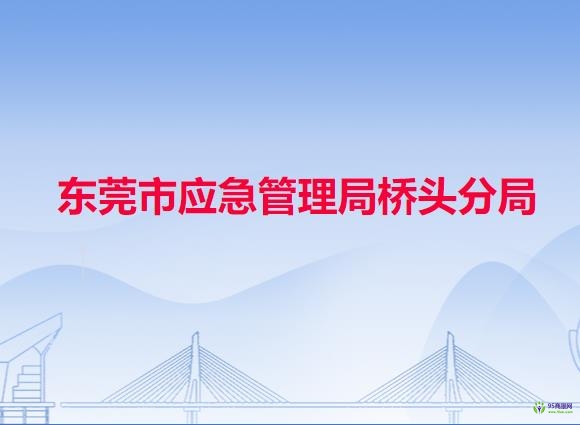 东莞市应急管理局桥头分局