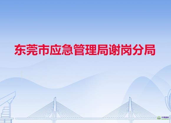 东莞市应急管理局谢岗分局