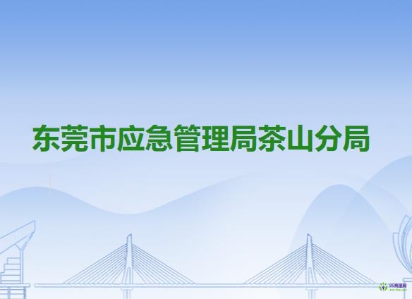 东莞市应急管理局茶山分局